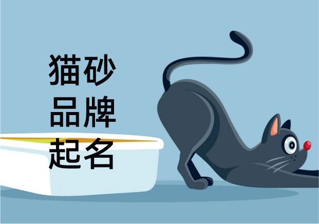 气味、触感与心理补偿：猫砂品牌起名的“洁癖”美学