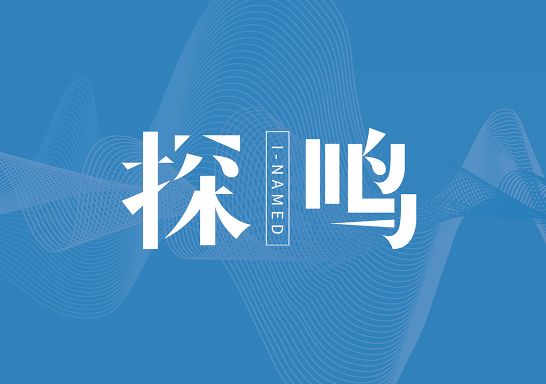  探鸣品牌起名公司logo.jpg