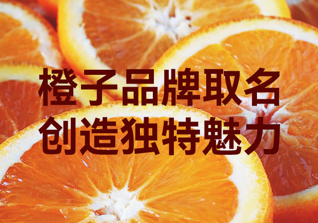 独步橙海：橙子品牌取名创意塑造独一无二的魅力