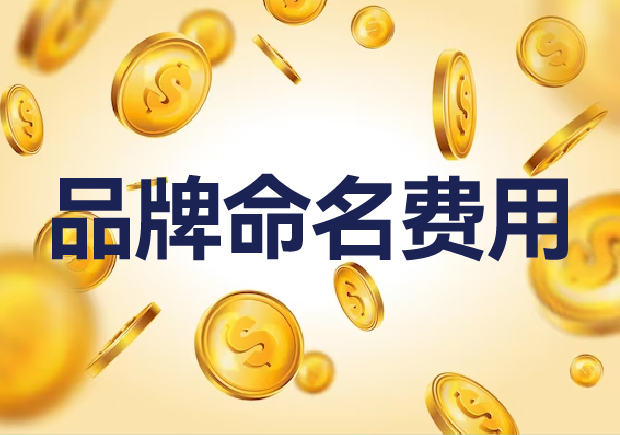 国内外品牌命名费用是多少？