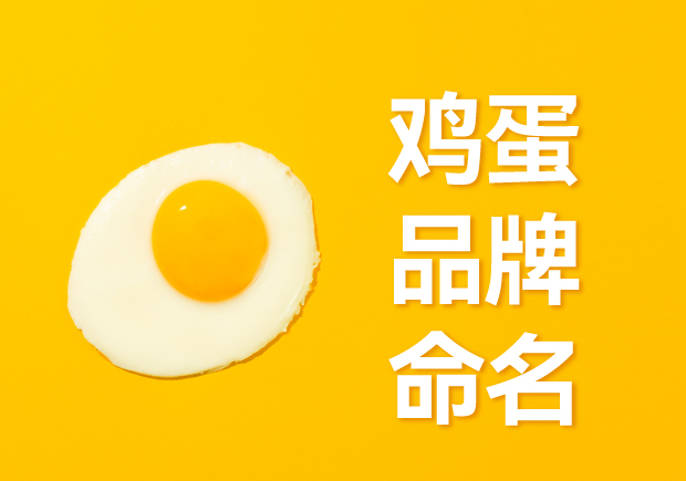 鸡蛋品牌命名：独特新颖的取名策略与原则