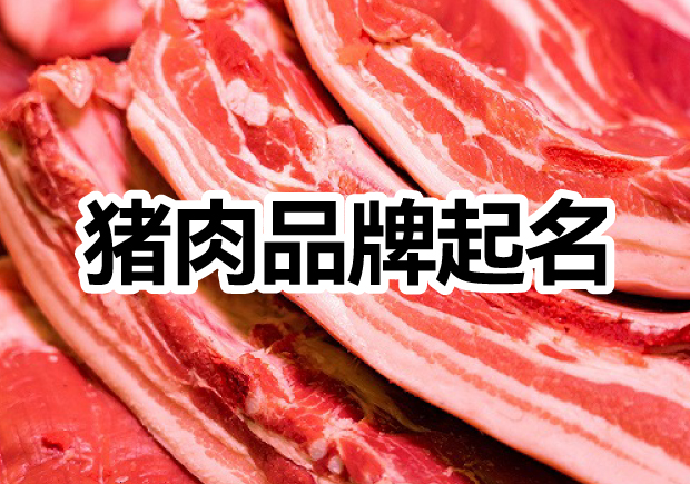 肉食新篇章：探索猪肉品牌取名的创意与市场洞察