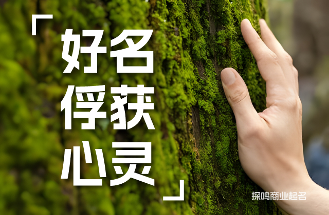高雅命名常见的六种语言策略.jpg