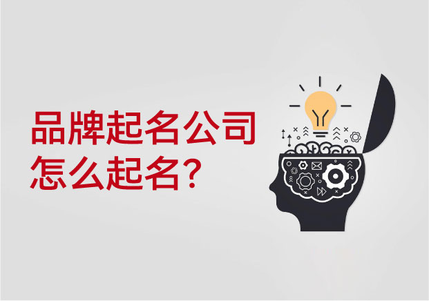 看专业的品牌起名公司怎么起名，这是一场关于商业的精密计算